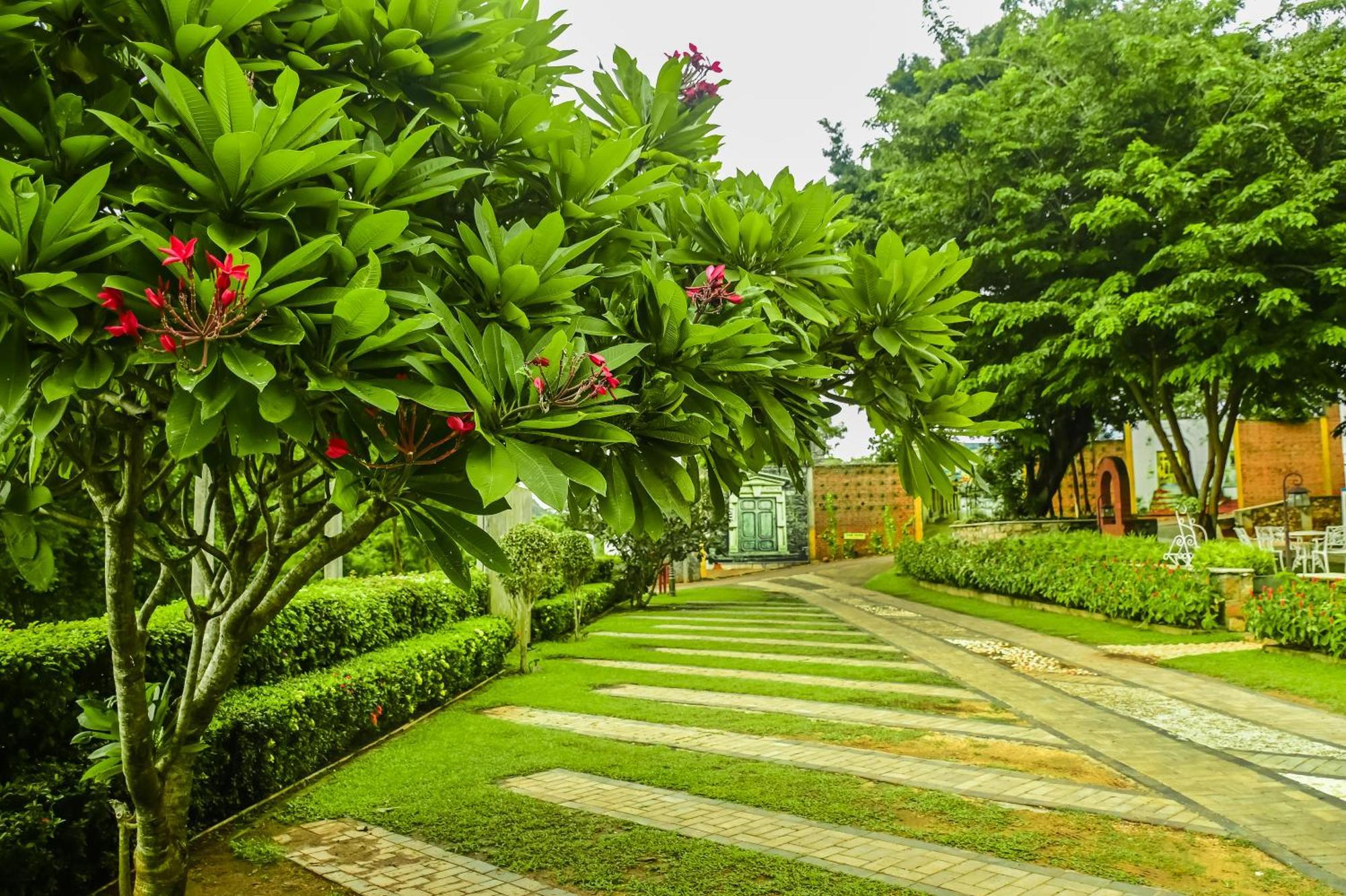 Agbo Hotel Polonnaruwa Exterior foto